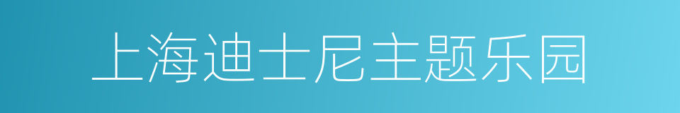 上海迪士尼主题乐园的同义词