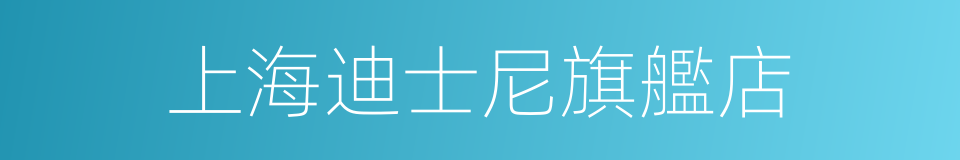上海迪士尼旗艦店的同義詞