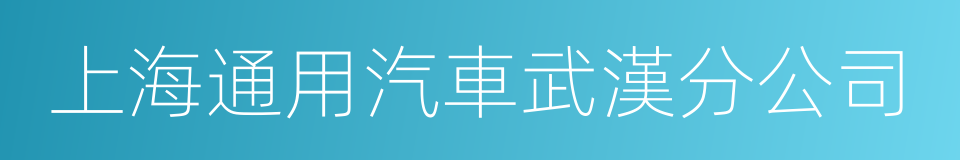 上海通用汽車武漢分公司的同義詞