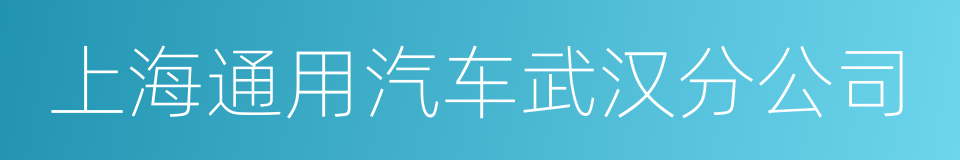 上海通用汽车武汉分公司的同义词