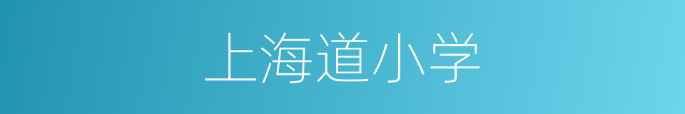 上海道小学的同义词