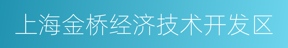 上海金桥经济技术开发区的同义词