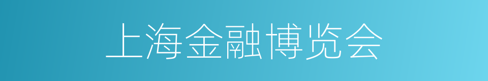 上海金融博览会的同义词