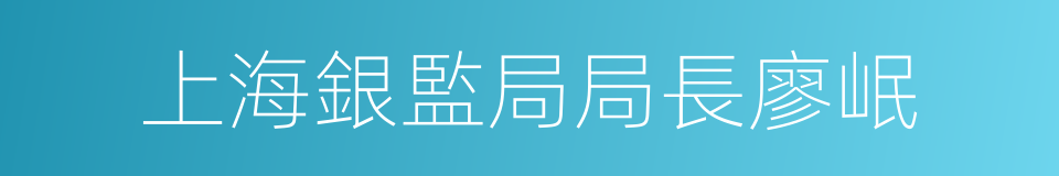 上海銀監局局長廖岷的同義詞