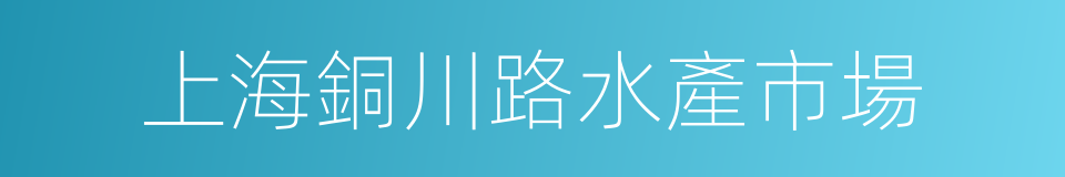 上海銅川路水產市場的同義詞