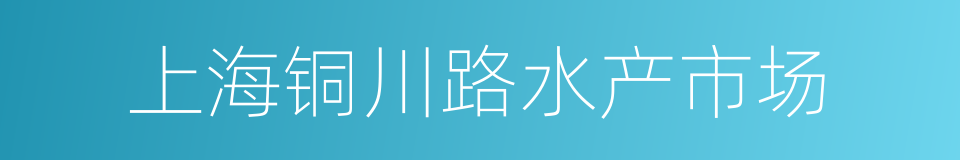 上海铜川路水产市场的同义词