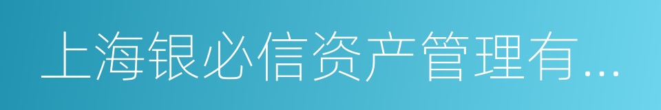 上海银必信资产管理有限公司的同义词