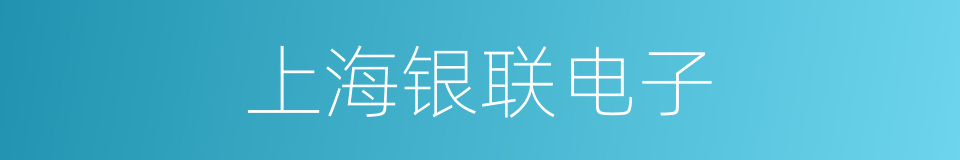 上海银联电子的同义词