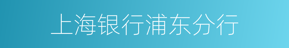 上海银行浦东分行的同义词