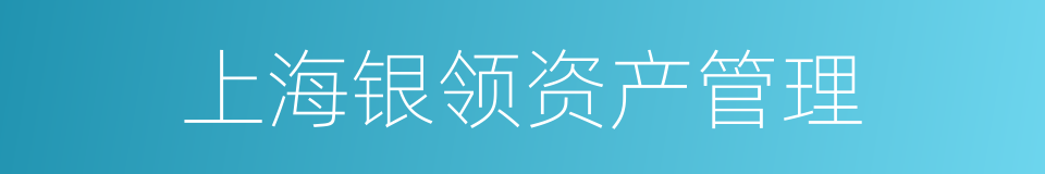 上海银领资产管理的同义词