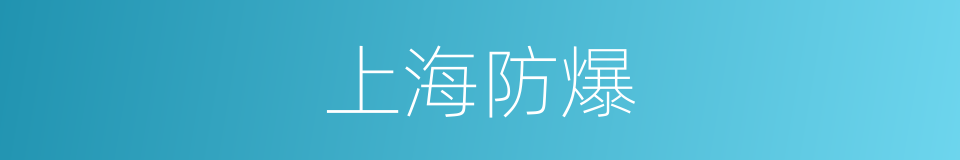 上海防爆的同义词