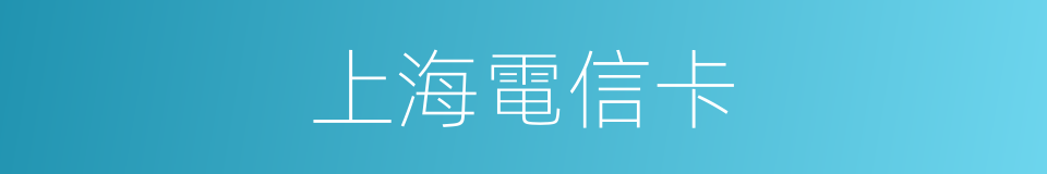 上海電信卡的同義詞