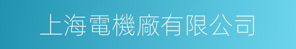 上海電機廠有限公司的同義詞