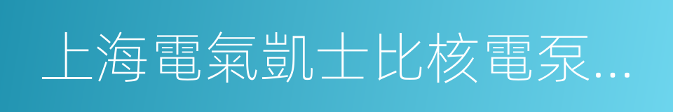 上海電氣凱士比核電泵閥有限公司的同義詞