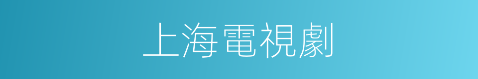 上海電視劇的同義詞