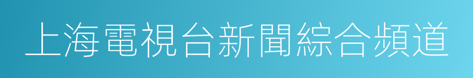 上海電視台新聞綜合頻道的同義詞