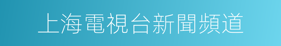 上海電視台新聞頻道的同義詞