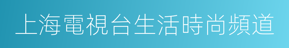 上海電視台生活時尚頻道的同義詞