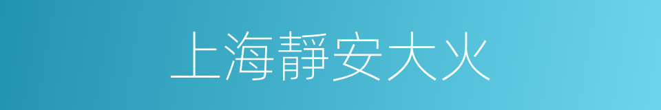 上海靜安大火的同義詞