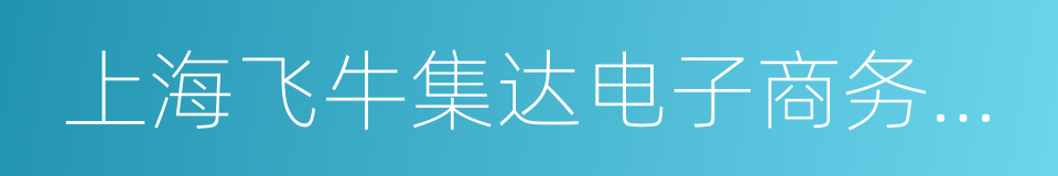 上海飞牛集达电子商务有限公司的同义词