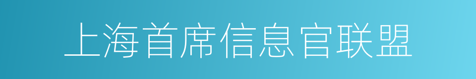 上海首席信息官联盟的同义词