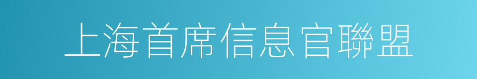 上海首席信息官聯盟的同義詞