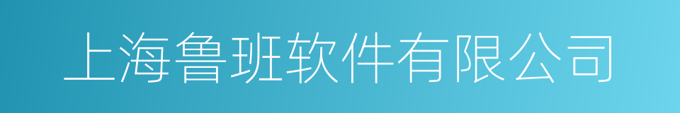 上海鲁班软件有限公司的同义词