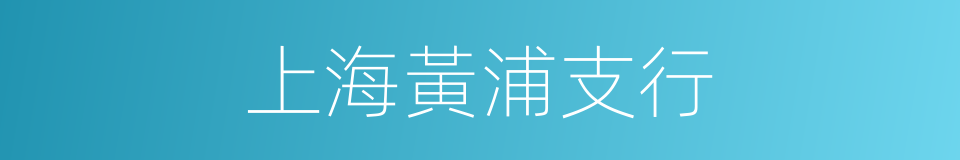 上海黃浦支行的同義詞