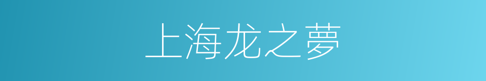 上海龙之夢的同義詞