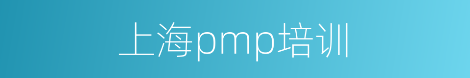 上海pmp培训的同义词