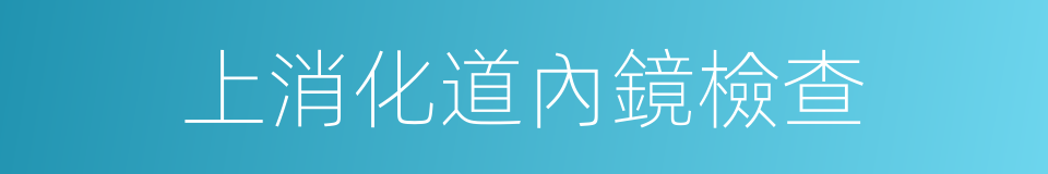 上消化道內鏡檢查的同義詞