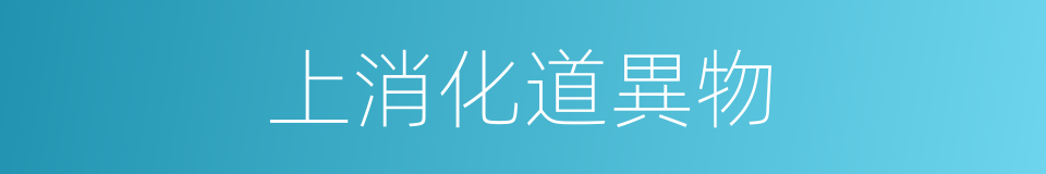 上消化道異物的同義詞