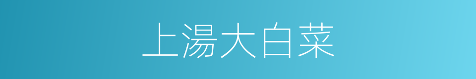 上湯大白菜的同義詞
