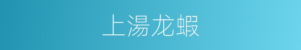 上湯龙蝦的同義詞