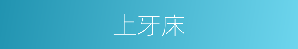 上牙床的同义词
