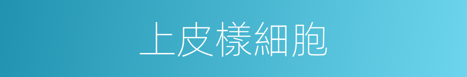 上皮樣細胞的同義詞
