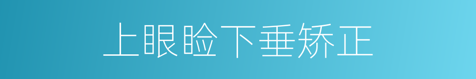 上眼睑下垂矫正的同义词