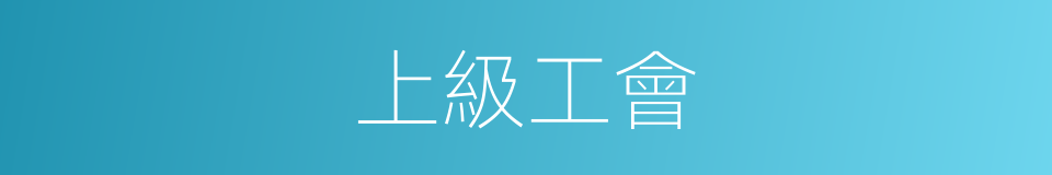 上級工會的同義詞