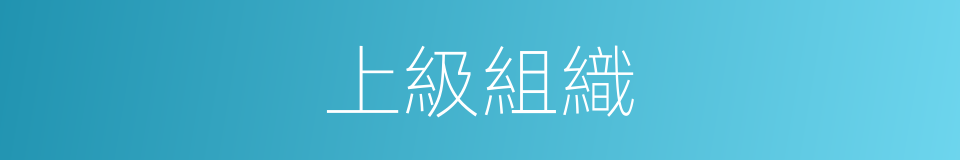 上級組織的同義詞