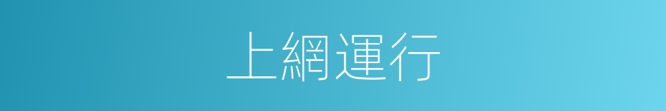 上網運行的同義詞
