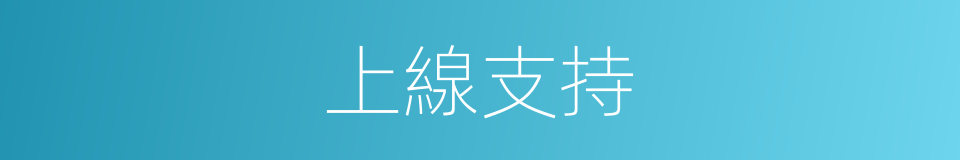 上線支持的同義詞