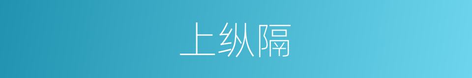 上纵隔的同义词