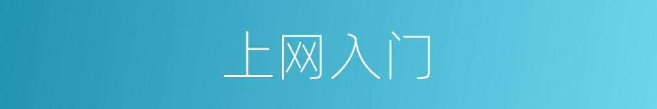 上网入门的同义词