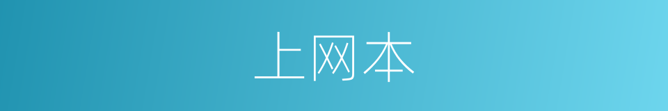 上网本的意思