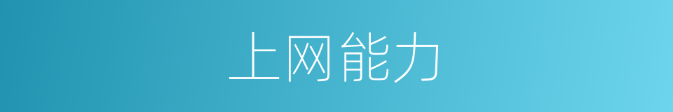 上网能力的同义词