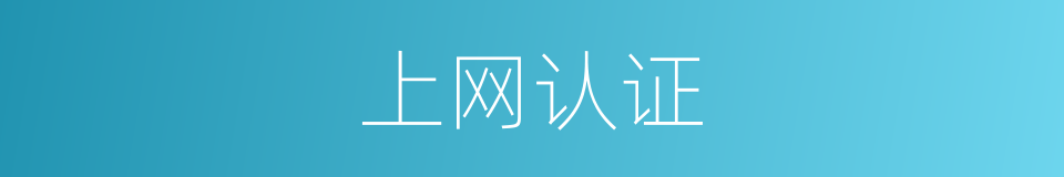 上网认证的同义词