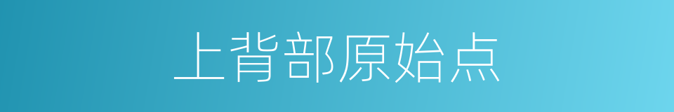 上背部原始点的同义词