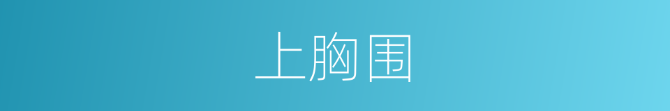 上胸围的同义词