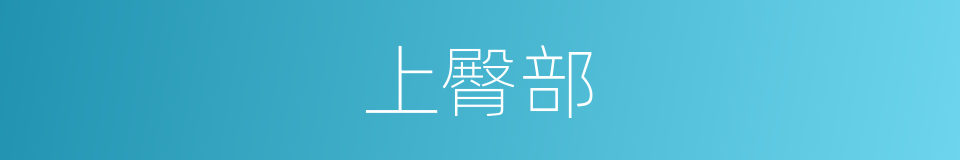 上臀部的同义词