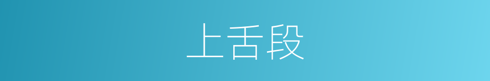 上舌段的同义词